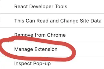 Manage Extension Drop Down Menu Item Highlighted